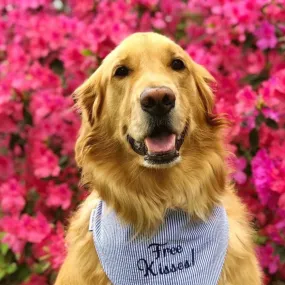 Free Kisses Seersucker Dog Bandanas - Ready to Ship